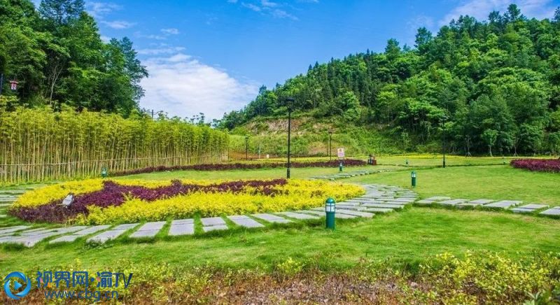 秀山鳳凰山四季花谷，色彩繽紛，空氣清新，草色四季常青。（來源：秀山在線）