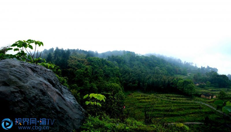 連續(xù)幾日春雨，重慶市榮昌區(qū)最高峰——古佛山上，山野寂靜，雨霧升騰，縹緲如仙境一般。張成杰 攝