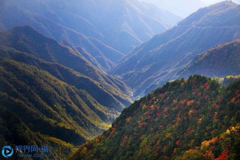 每到秋季紅岸村彩葉帶層林盡染。嵐天鄉(xiāng)供圖