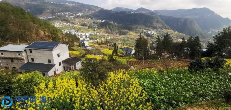 靜謐春日 鄭萬山 攝