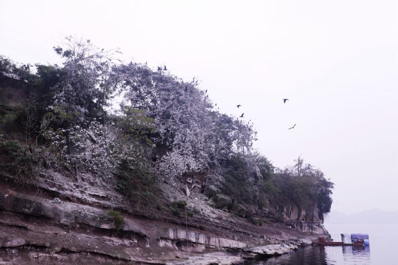 長壽湖鳥島