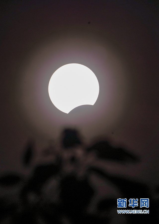 　　21日下午2时58分，福建漳州，这是透过树枝拍摄到的初亏。新华网 肖和勇 摄