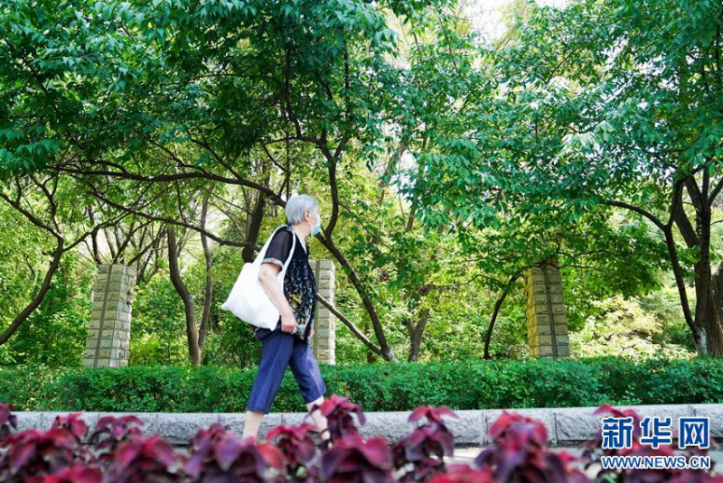 微信截图_20200618091348