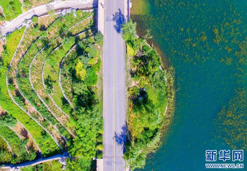 6月14日拍摄的河北省邯郸市丛台区紫山生态涵养区一角(无人机照片)。