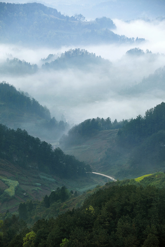 春意盎然，層層山巒 ，道路環(huán)繞。記者 向成國(guó) 攝