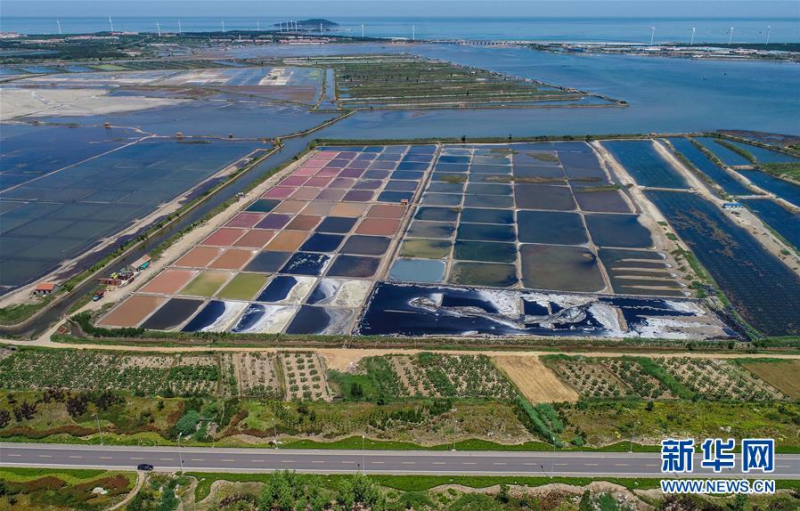 6月15日在山东省荣成市港西镇拍摄的一处盐田（无人机照片）。 盐田的水在高温下不断蒸发，浓度变大，呈现出色彩斑斓的独特景象，宛如一张巨大的调色板。 新华社发（李信君 摄）