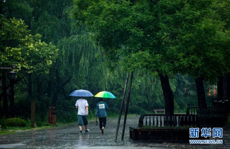 滂沱大雨,打不湿游客们的热情,他们打着五颜六色的雨伞在古城里漫步,或用手掌接下由柳叶流下的雨滴,或是干脆将鞋子脱掉赤脚在古城小道里奔跑。