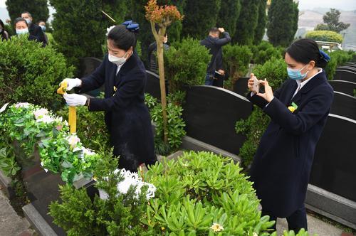 代客祭掃的工作人員根據(jù)客戶需求進(jìn)行視頻拍攝或直播。