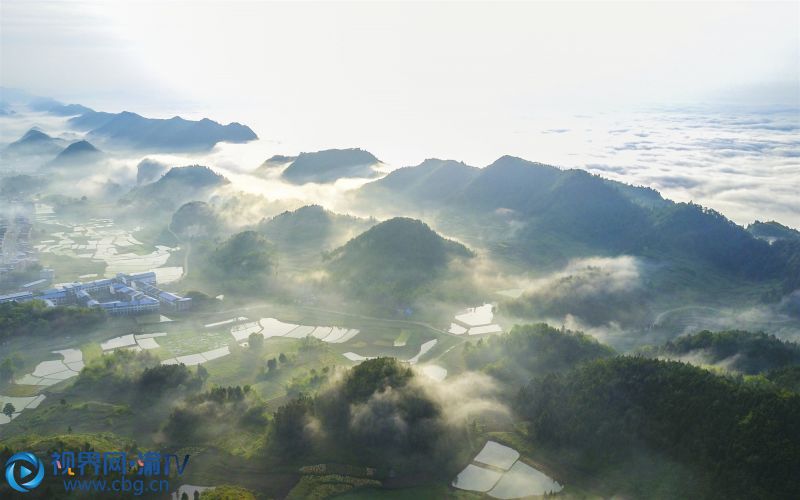 初夏，大雨過天晴，陽光照山川，晨霧齊翻滾。攝影：熊偉