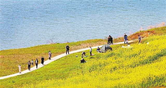 3月10日，南岸广阳镇，市民在风景如画的长江边漫步。特约摄影 钟志兵