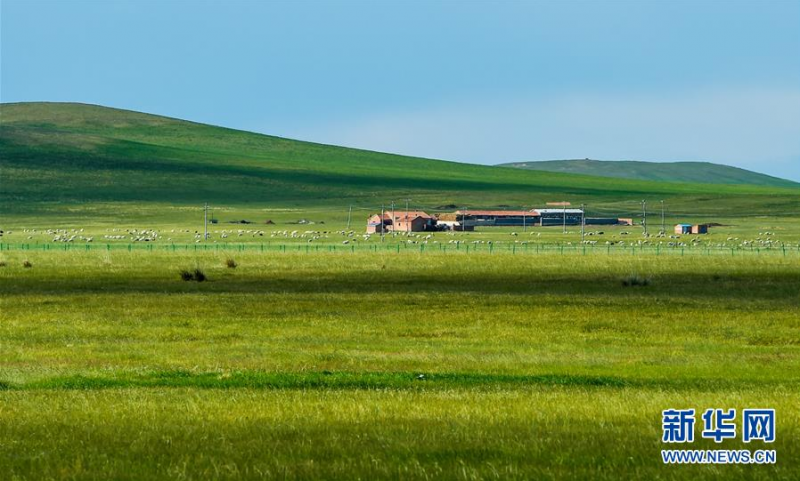 这是锡林郭勒盟乌拉盖草原风光（6月17日摄）。 初夏时节，内蒙古中部的锡林郭勒大草原风景如画。 新华社记者 连振 摄