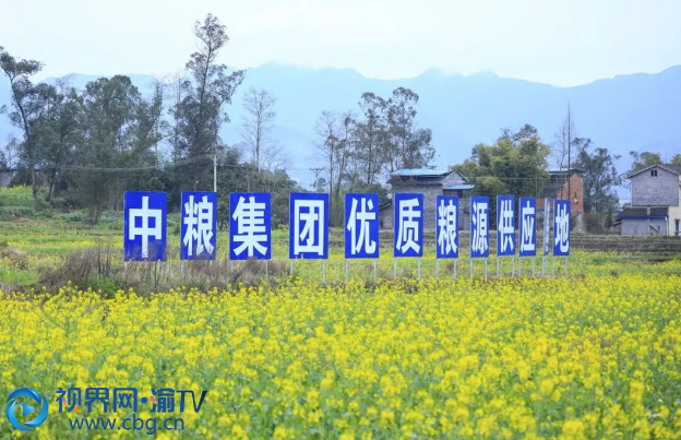 梁平區(qū)雙桂田園·萬石耕春景區(qū)油菜花盛開。