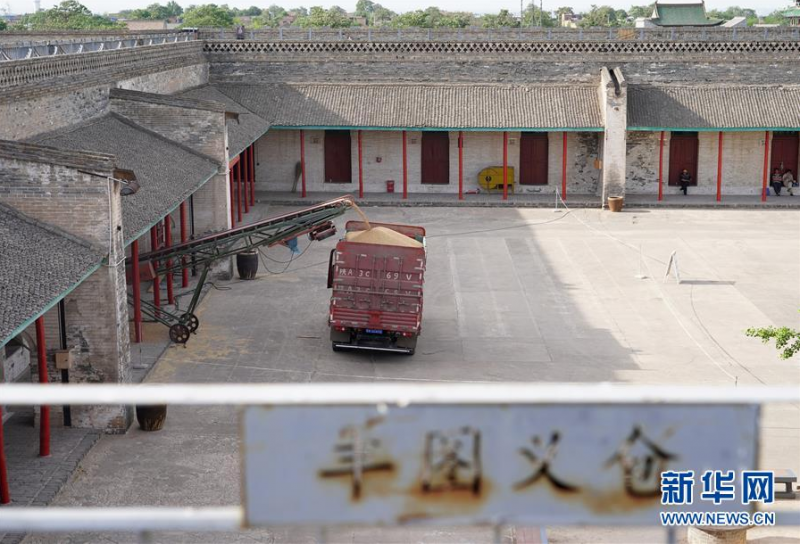 丰图义仓内正在进行小麦轮换出库作业，窑仓内的小麦经过传送带装入卡车货厢内（5月27日摄）。 眼下，陕西渭南市小麦丰收在望。历经百年风雨的丰图义仓对1013吨库存小麦进行轮换出库，腾出库容，准备接收新小麦。丰图义仓是国家级重点文物保护单位，位于陕西省渭南市大荔县境内，建成于1885年，是一座保存完整、至今仍在储粮的清代粮仓，现存中央储备粮5000吨。 新华社记者 邵瑞 摄