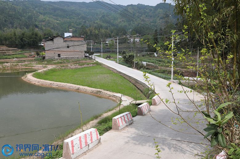 通往產(chǎn)業(yè)基地的組級公路因地制宜，精心規(guī)劃布局，金山銀山煥發(fā)生命力！2017年8月，大樹村因貧困發(fā)生率高等諸多原因，被確定為云陽縣的深度貧困村。4518人的村子，2014年以來建卡貧困戶就有126戶482人，貧困發(fā)生率高達10.05%。并且受到產(chǎn)業(yè)發(fā)展單一、年輕勞動力外出務(wù)工等因素的影響，該村一度成了“空殼村”?！澳菚r候全村50%左右的村民家庭收入都是依靠外出務(wù)工，留在家的都是老人和小孩。加上基礎(chǔ)設(shè)施差、產(chǎn)業(yè)基礎(chǔ)和村集體經(jīng)濟薄弱等問題，2016年全村農(nóng)民人均可支配收入8369元，比重慶市平均水平低3180元?！贝髽浯妩h支部書記于海泉告訴記者。從那時候起，村“兩委”班子就一直在尋找拔掉大樹村窮根子的“藥方”。沒有勞動力、技術(shù)和產(chǎn)業(yè)，如何帶領(lǐng)群眾開辟出一條發(fā)展的新路子？于海泉說，扶貧就要先扶志，提升扶貧“造血”能力，增強貧困戶發(fā)展信心。大樹村有豐厚的自然資源，有良好的農(nóng)業(yè)產(chǎn)業(yè)優(yōu)勢，產(chǎn)業(yè)帶動就是村里研究出來的解決方案。“剛開始群眾對村里發(fā)展產(chǎn)業(yè)很抵觸，大家窮怕了，不想試也不敢試，但是全村黨員干部沒有放棄過，都是硬著頭皮說破嘴皮地去解釋，慢慢地大家也就放下了心里的顧慮?！庇诤Ｈ硎?。