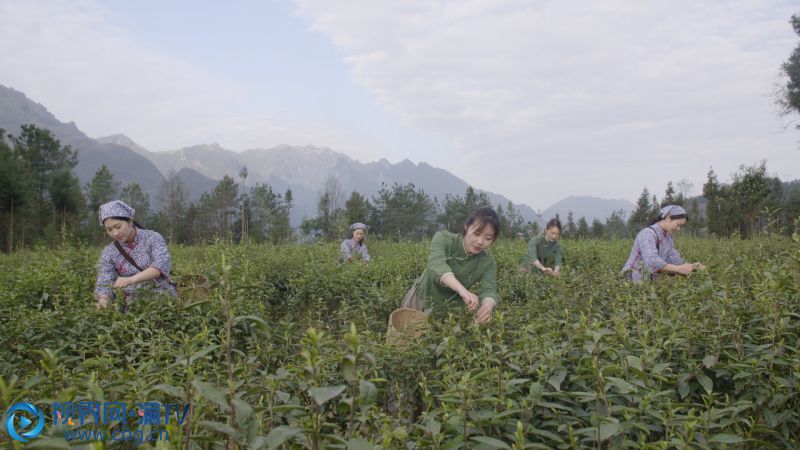 （圖片由童貽偉拍攝）