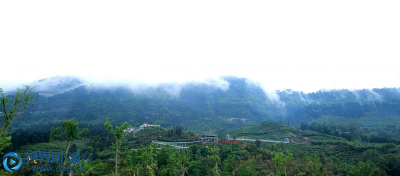 連續(xù)幾日春雨，重慶市榮昌區(qū)最高峰——古佛山上，山野寂靜，雨霧升騰，縹緲如仙境一般。張成杰 攝