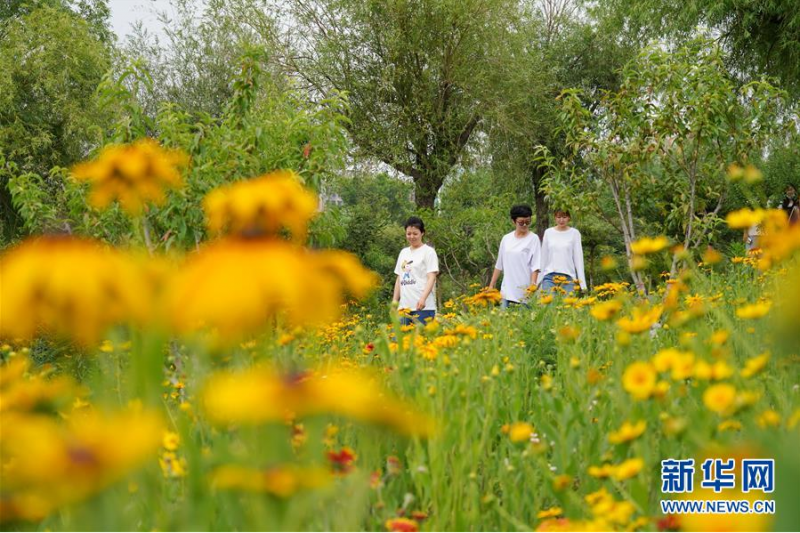 6月9日，市民在河北省唐山市古冶区由采煤沉陷区改造而成的金山森林公园内游览。 新华社记者 牟宇 摄