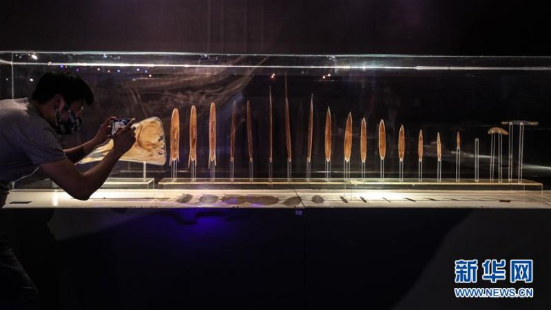 　　6月4日，参观者在《巨鲸传奇》特展中参观。新华社记者 潘昱龙 摄