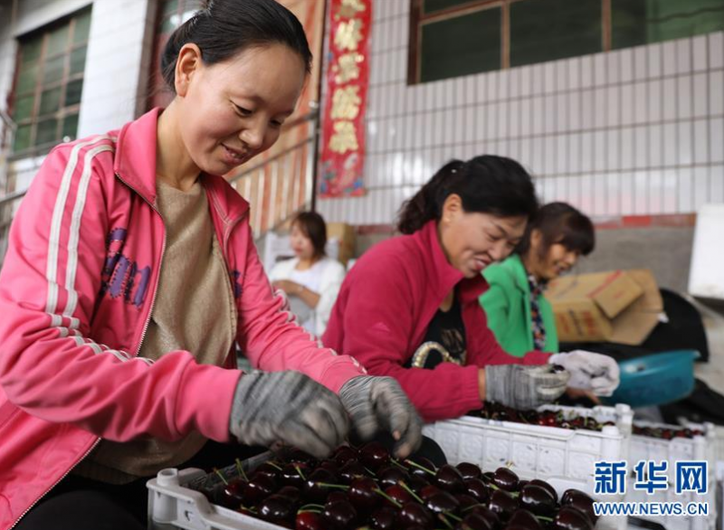 微信截图_20200621081347