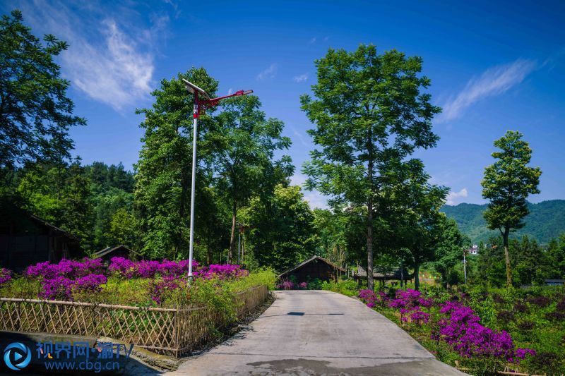 苗寨內(nèi)鳥語花香，綠樹成蔭，十分適宜避暑納涼。（來源：秀山縣文旅委）