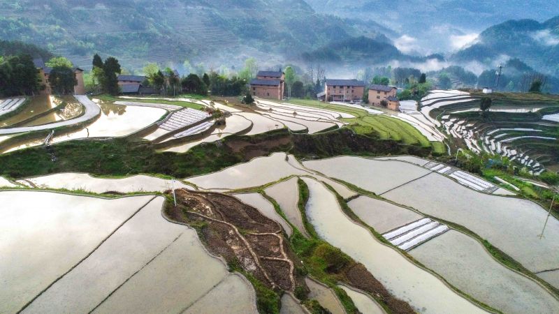 蓄滿溪水的梯田，層層疊疊，宛若畫卷。（攝影：冉川）