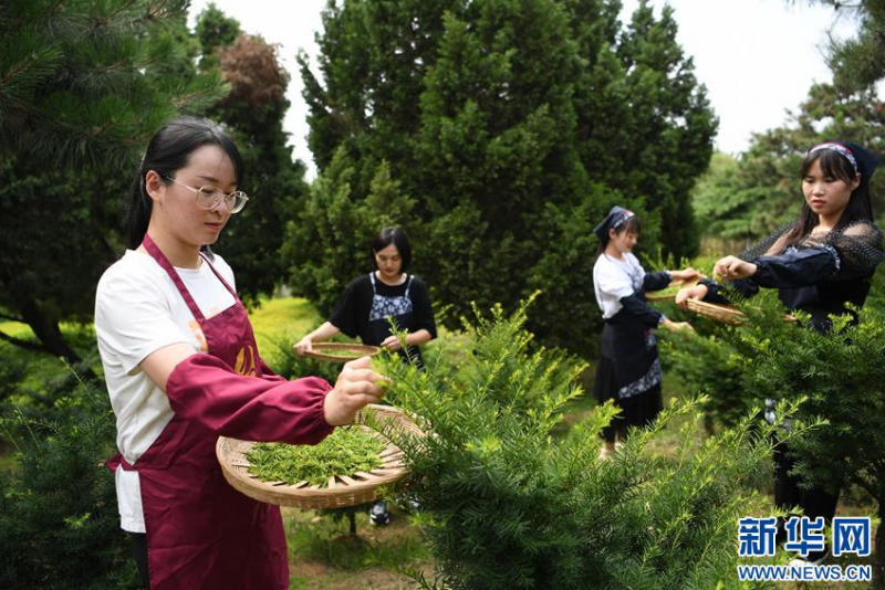 微信截图_20200618091535