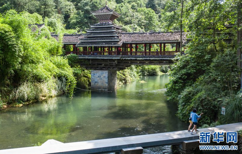 微信截图_20200603080645