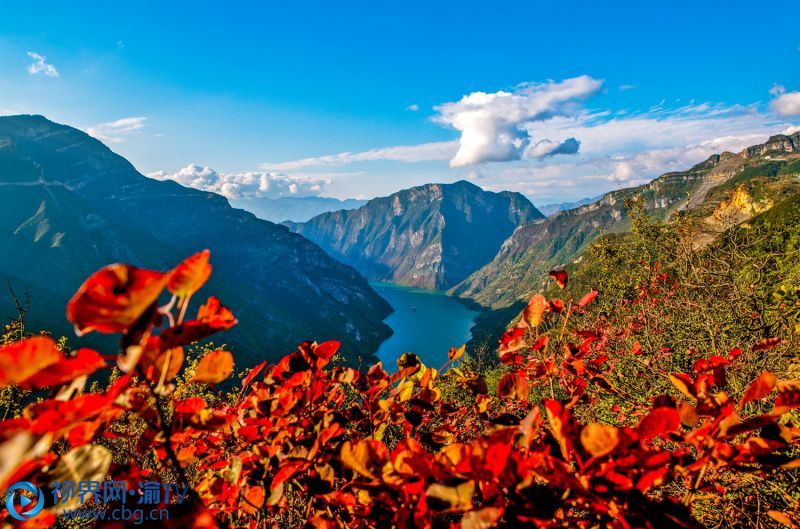 巫山神女景區(qū)風(fēng)光。盧先慶 攝