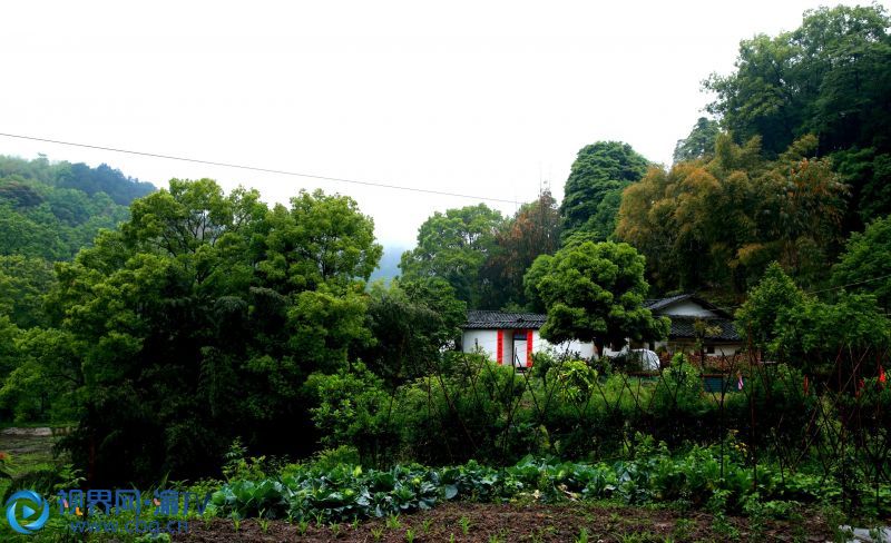 連續(xù)幾日春雨，重慶市榮昌區(qū)最高峰——古佛山上，山野寂靜，雨霧升騰，縹緲如仙境一般。張成杰 攝