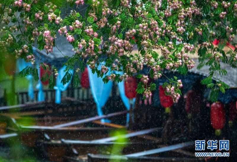 水巷弯弯,流韵荡漾,摇橹船在水中轻轻地漂荡。在岸上的不远处可以看到游人撑着雨伞在雨中体验难得的静谧。