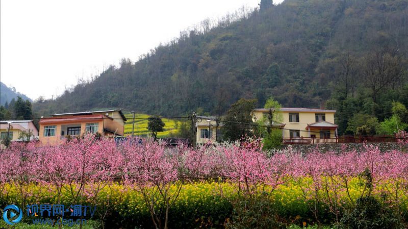 重慶市城口縣修齊鎮(zhèn)東河村五彩山莊。茍莉 攝