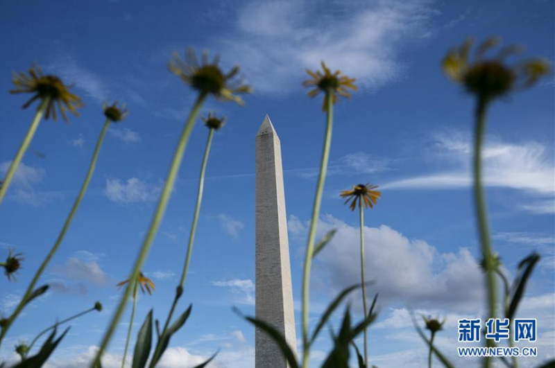 这是5月27日在美国首都华盛顿拍摄的华盛顿纪念碑。 美国首都华盛顿市市长缪里尔·鲍泽27日宣布,该市因新冠疫情实施的“居家令”将于29日开始逐步解除。 新华社记者 刘杰 摄