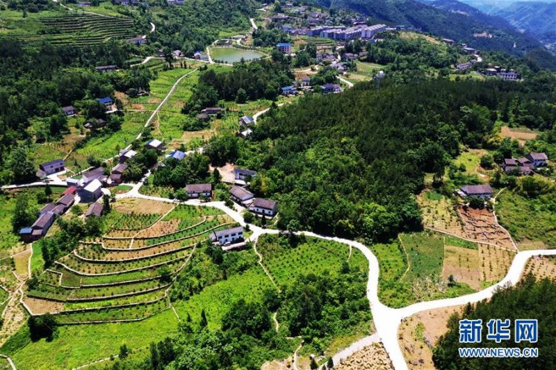 　　重庆市奉节县青龙镇大窝社区景色（无人机照片，5月30日摄）。近年来，为保护三峡库区的生态环境，当地对硫磺厂实施政策性关闭，并通过石漠化治理、植树造林等措施，不断提升大窝社区的森林覆盖率和环境质量。新华社记者 王全超 摄