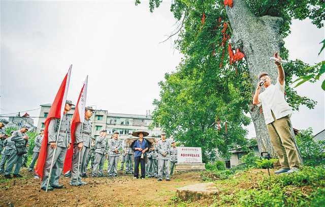 6月18日，渝黔邊界上的綦江區(qū)安穩(wěn)鎮(zhèn)崇河村，黨員代表們正在聆聽當(dāng)年紅軍長(zhǎng)征時(shí)經(jīng)過該村的故事。當(dāng)日，“紅色楓香樹”重走長(zhǎng)征路重慶段宣傳活動(dòng)在此啟動(dòng)，來自市文物局、市委黨史研究室及綦江區(qū)委宣傳部、區(qū)文旅委等單位的50多位黨員代表，沿著中央紅軍轉(zhuǎn)戰(zhàn)綦江經(jīng)過安穩(wěn)的足跡，重走長(zhǎng)征路。