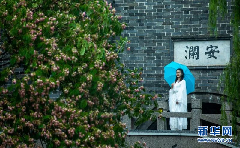 在桥上来来往往的人们,忍不住停下了脚步,又为小桥添了几分流动风景。人在画中,画在人间,多么美妙的意境,这是小城的经典之作。