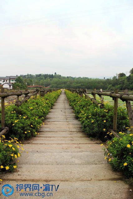 從荷和原鄉(xiāng)景區(qū)入口，沿著藕田邊的木板棧道，道路拐角處的兩處農(nóng)家小院，就是別具風(fēng)格的“原鄉(xiāng)藕遇”了。民宿包含一排平房和一個(gè)二層獨(dú)門小院落，是由六戶村民的閑置農(nóng)房改建而成的集住宿、餐飲、農(nóng)耕體驗(yàn)為一體的新型民宿，共有客房22間，農(nóng)家菜館2家。