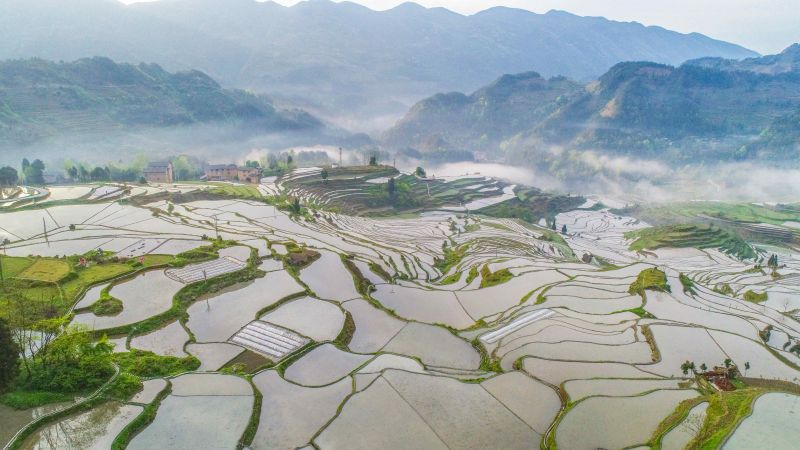 蓄滿溪水的梯田，層層疊疊，宛若畫卷。（攝影：冉川）