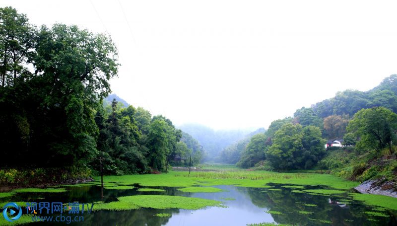 連續(xù)幾日春雨，重慶市榮昌區(qū)最高峰——古佛山上，山野寂靜，雨霧升騰，縹緲如仙境一般。張成杰 攝