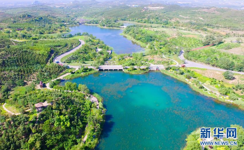 6月14日拍摄的河北省邯郸市丛台区紫山生态涵养区(无人机照片)。 新华社记者 朱旭东 摄