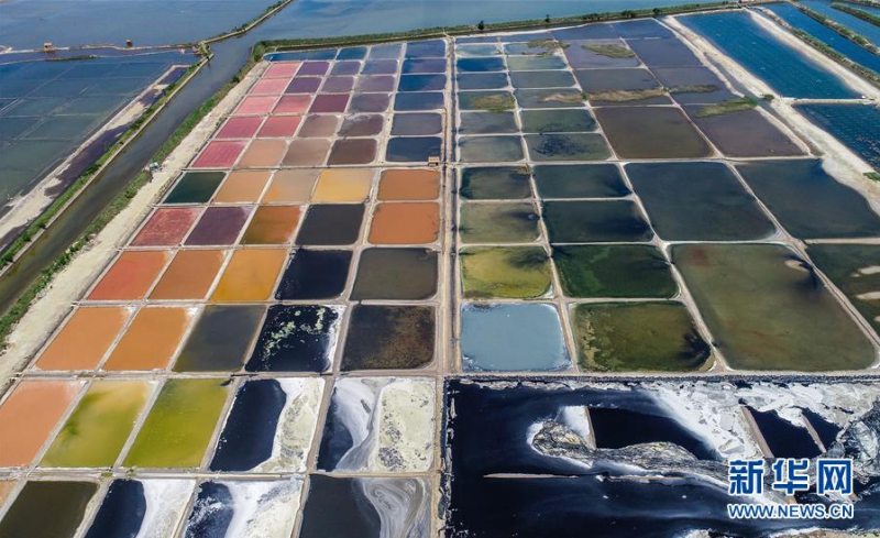 6月15日在山东省荣成市港西镇拍摄的一处盐田（无人机照片）。 盐田的水在高温下不断蒸发，浓度变大，呈现出色彩斑斓的独特景象，宛如一张巨大的调色板。 新华社发（李信君 摄）