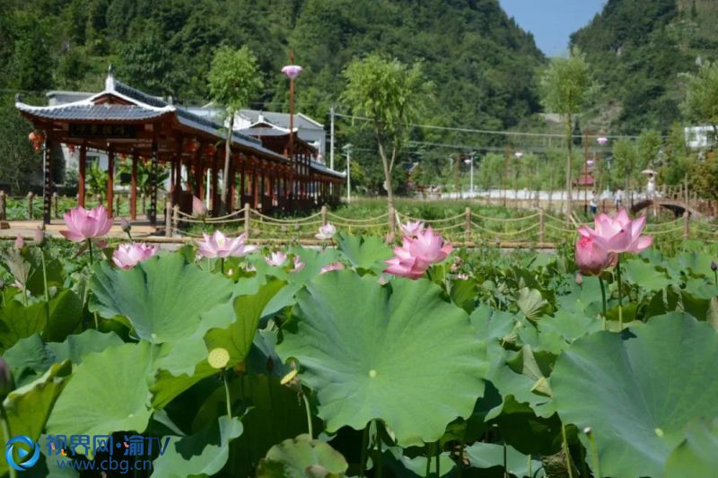 圖片由巫溪縣觀峰村提供