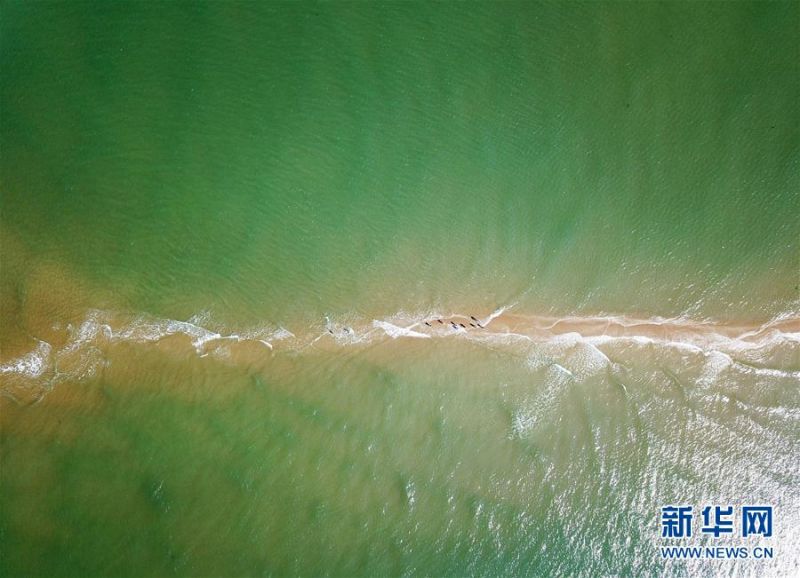 　这是6月19日无人机航拍的“鱼骨沙洲”。 新华社记者魏培全摄