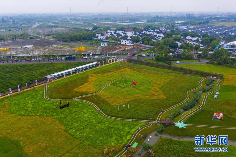 5月31日，空中俯瞰石淙花海（无人机照片）。新华社记者 徐昱 摄