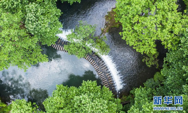 微信截图_20200603080635