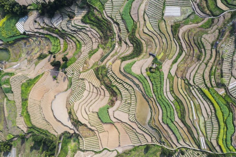 艳山红村景象