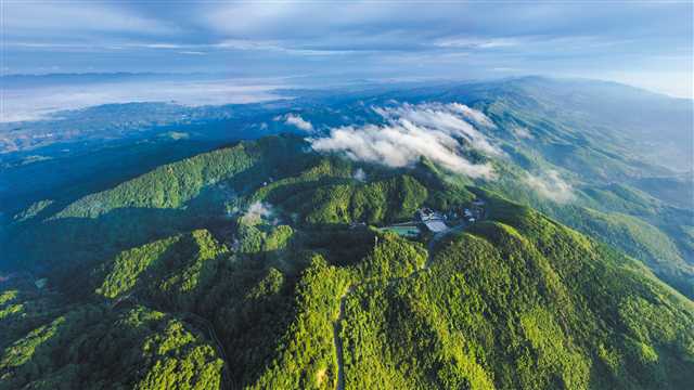     明月山·百里竹海景區(qū) 攝/吳宇