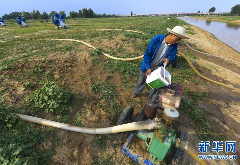 6月17日，工作人员在给抽水喷灌设备加水。新华社记者 李晓果 摄