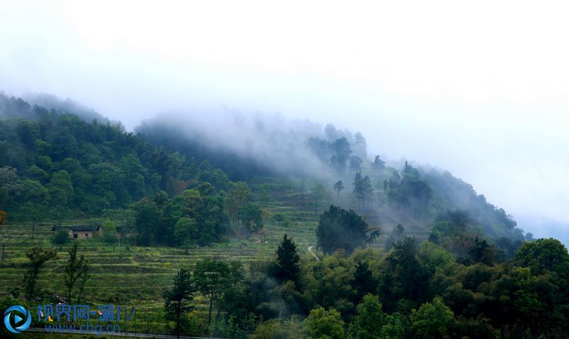 連續(xù)幾日春雨，重慶市榮昌區(qū)最高峰——古佛山上，山野寂靜，雨霧升騰，縹緲如仙境一般。張成杰 攝