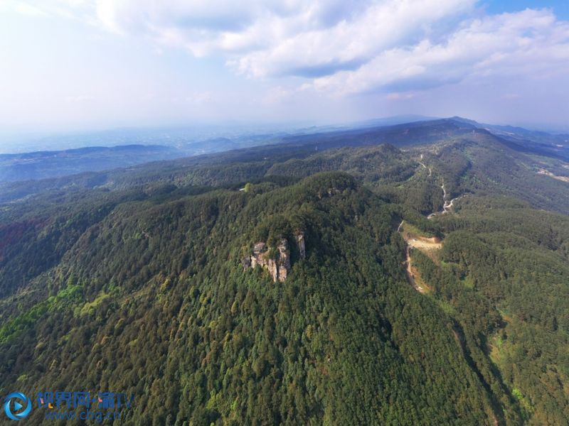 春日的重庆市长寿区五华山景区，满目皆是绿。站在山巅远眺，林中道路蜿蜒向前，大小山丘错落有致，蓝天白云尽收眼底，吸引不少游客前往踏青。摄影 袁志龙