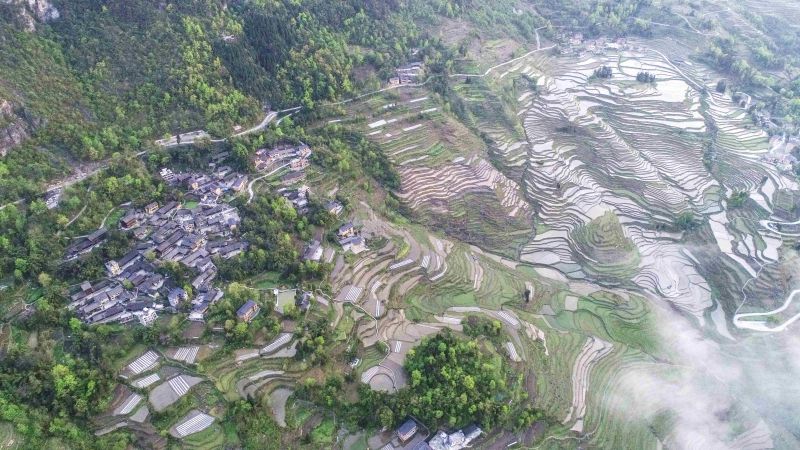 蓄滿溪水的梯田，層層疊疊，宛若畫卷。（攝影：冉川）